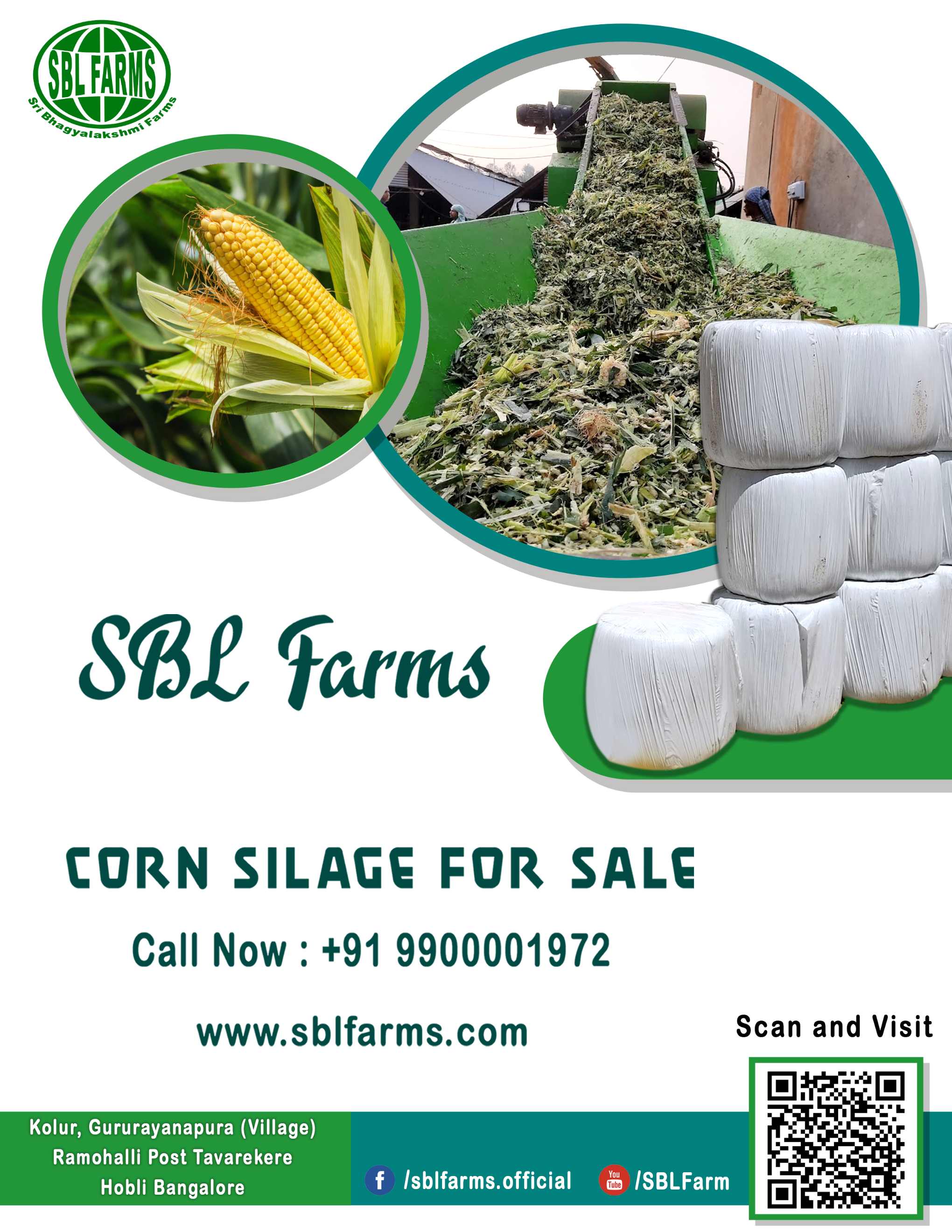 Corn Silage Suppliers in Bangalore | Corn Silage for Sale  |  Corn Silage, Baby Corn Silage manufacturers, suppliers & exporters in Bangalore | corn silage for sale in bangalore |  Sri Bhagyalakshmi Farms Corn Silage Bangalore| Silage Balers | Animal Feed Manufacturers | Production of Silage |Cattle feed manufacturers & suppliers - SBL Farms is solving the biggest fodder crisis in India, by supplying Silage bales, Bailing machines to dairy farmers, Cooperatives, Animal Husbandry | Best Cattle Feed Manufacturers & Silage Suppliers in India | Indias Best Baled Silage Producers